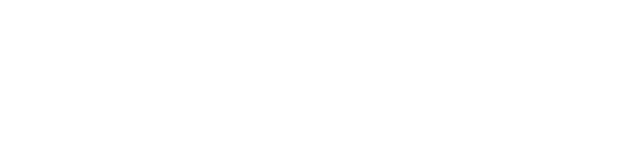 2025WhiteHorizontal-01 tmg web logo